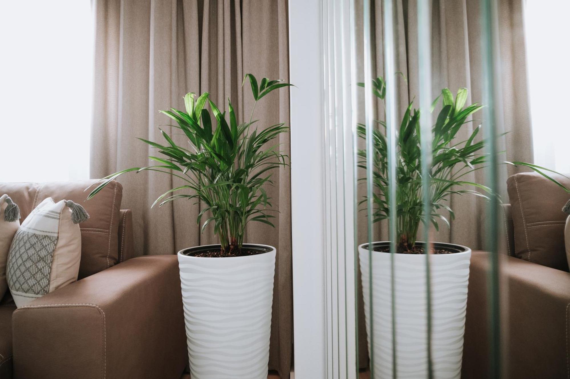 Appartement Dimosthenis Land *